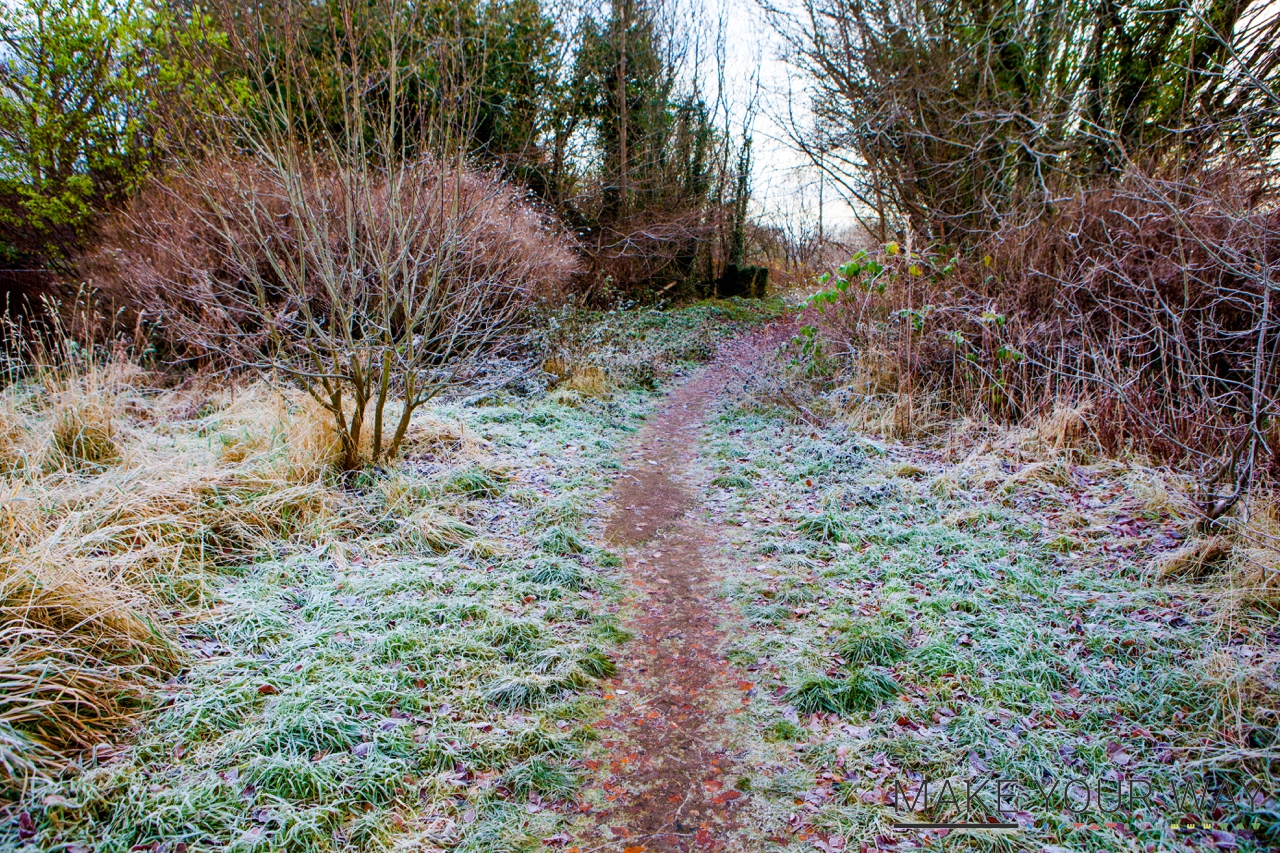 Make Your Way Carluke Edgelands